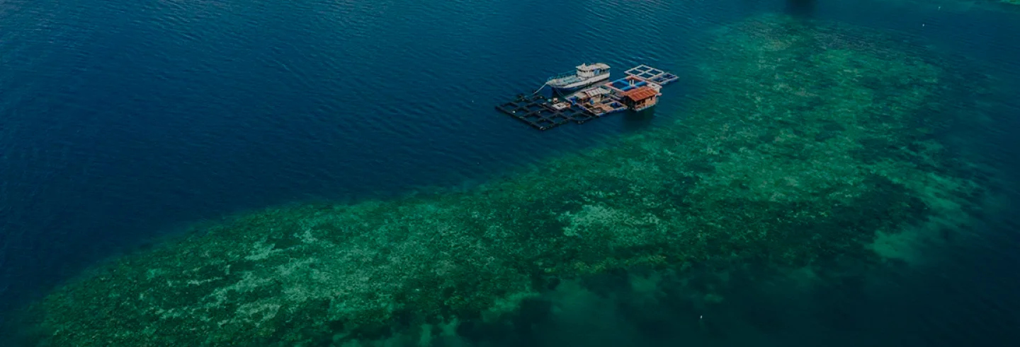 Komodo Diving